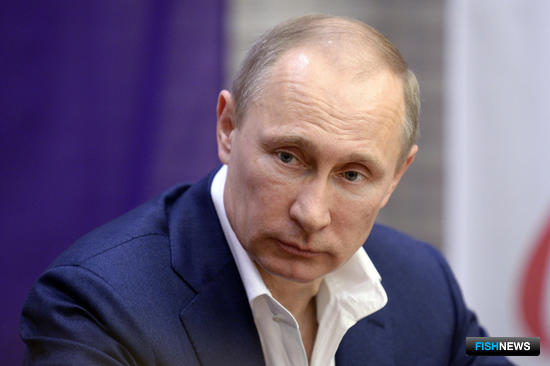Президент России Владимир ПУТИН. Фото пресс-службы главы государства