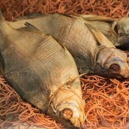 На участках предлагается вести в том числе промысел леща