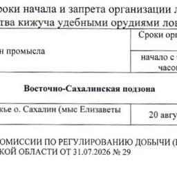 Сроки организации любительского рыболовства кижуча в Сахалинской области. Скриншот протокола