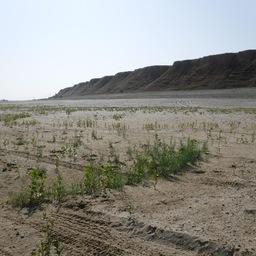 Каменноярское нерестилище в меженный период — участок, занесенный песком в 2021 г. Фото пресс-службы КаспНИРХ