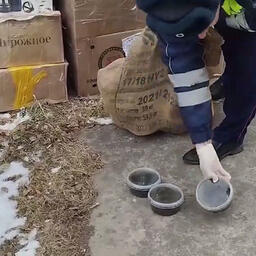 Деликатес обнаружили сотрудники ГАИ в остановленной машине. Кадр оперативной съемки