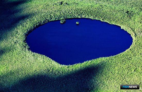 Озеро в тайге в Тюменской области. Фото с сайта Fomin-foto.nichost.ru