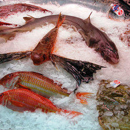 Для ввоза рыбопродукции понадобится информация о контракте