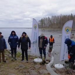Молодь палии отправилась в бассейн Ладожского озера. Фото пресс-службы Главрыбвода, CC by 4.0