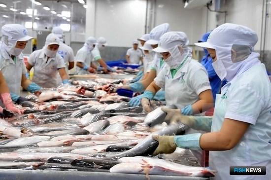 В 2018 г. Вьетнам экспортировал рыбопродукции на 9 млрд долларов. Фото Vietnamnet.