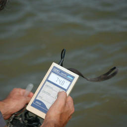 Ученые замеряют содержание кислорода в водах Кизлярского залива. Фото пресс-службы КаспНИРХ