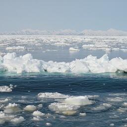 Бизнес запланировал перевозки рыбной продукции Северным морским путем с Камчатки на предстоящий год