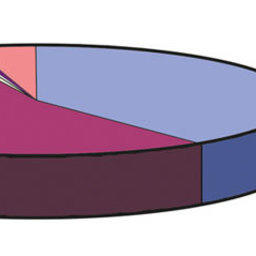 Рис. 3. Соотношение продукции хозяйств марикультуры в 2010 г. (1565,5 тонн)