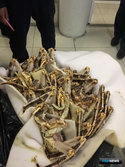 Более 150 кг живого краба хотели вывезти в Харбин без декларирования. Фото пресс-службы Владивостокской таможни