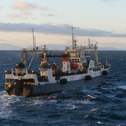 Рыбацкое судно ведет промысел в водах Камчатки