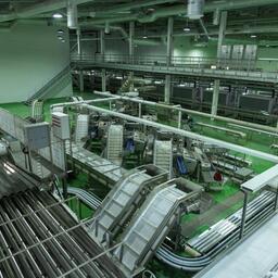 В Сахалинской области развивается береговая переработка. Фото пресс-службы правительства региона