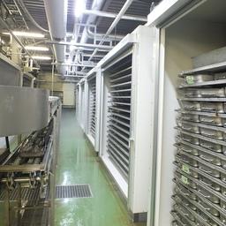 Скороморозильное оборудование от «Колд Трейд» в модернизированном цеху Южно-Курильского рыбокомбината