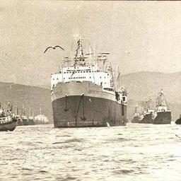 Китобойная флотилия «Советская Россия» выходит на промысел. Фото из личного архива Виктора Щербатюка