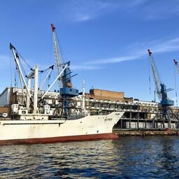 Владивостокский морской рыбный порт сейчас круглосуточно принимает и отгружает уловы лосося с Камчатки. Фото пресс-службы компании