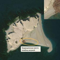 Вид на лежбище моржей из космоса. Снимок предоставлен пресс-службой WWF России