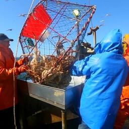 Россельхозбанк намерен поддержать рыбопромышленников в том числе в строительстве судов-краболовов