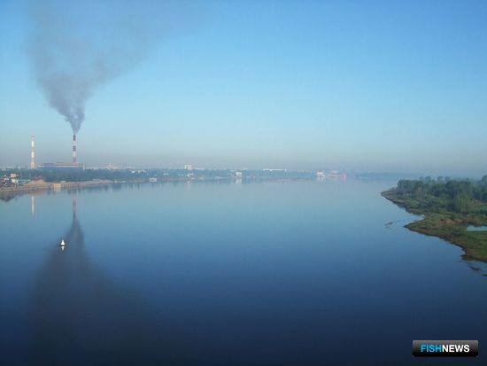 Волга у Нижнего Новгорода. Фото из «Википедии»