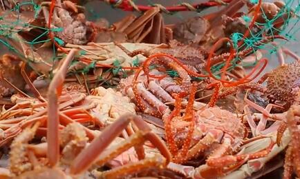 Промысел краба на Дальнем Востоке. Архивное фото