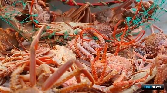 Для краболовов предложили продлить предельные сроки строительства