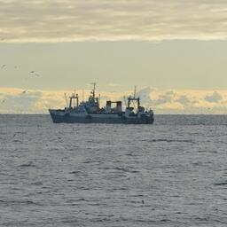 Рыбный промысел на Дальнем Востоке. Фото предоставлено «Океанрыбфлотом»