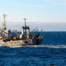 Рыбный промысел в Черном море. Фото пресс-службы ФАР