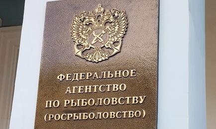 Росрыболовство запланировало на сентябрь аукцион по продаже долей квот для промысла на Дальнем Востоке.