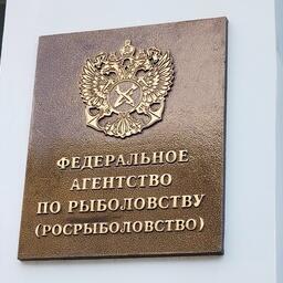 Росрыболовство запланировало на сентябрь аукцион по продаже долей квот для промысла на Дальнем Востоке.