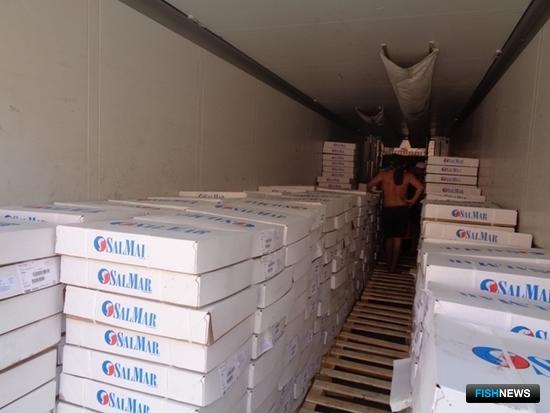 17,5 тонн хребтов семги пытались провезти из Казахстана по документам на дыни. Фото пресс-службы Приволжского таможенного управления
