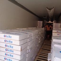 17,5 тонн хребтов семги пытались провезти из Казахстана по документам на дыни. Фото пресс-службы Приволжского таможенного управления