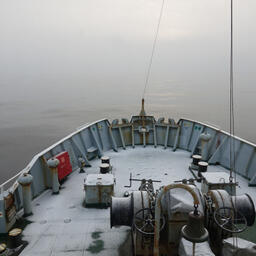 В Баренцевом море завершилась совместная российско-норвежская экосистемная съемка. Фото пресс-службы ПИНРО