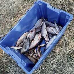 Научный улов. Фото пресс-службы ВНИРО