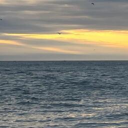 Продовольственная и сельскохозяйственная организация ООН (ФАО) обратила внимание на опасность морских тепловых волн