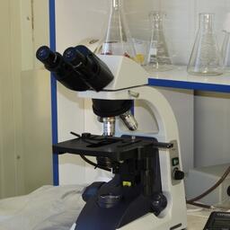 В засушливых условиях наука предлагает развивать аквакультуру гиперсоленых вод