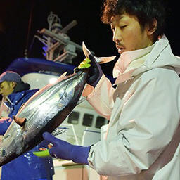 Японский рыбак с тунцом. Фото с сайта Nippon.com