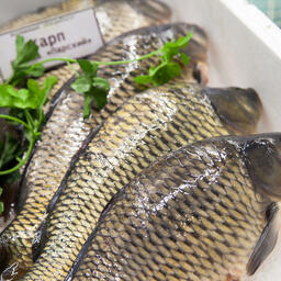 енобласть предлагает озеро Утконос под акваферму