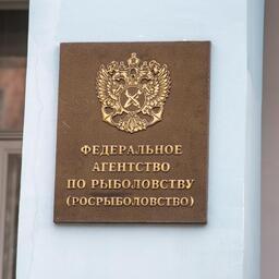 Росрыболовство опубликовало объявление для организации работы в нынешнем году в районе регулирования Комиссии по рыболовству в северной части Тихого океана (СТО)