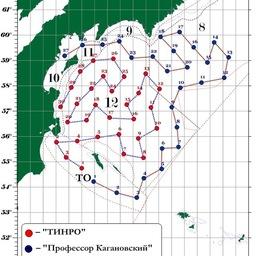 Схема съемок, выполненных в Беринговом море. Изображение предоставлено пресс-службой ТИНРО