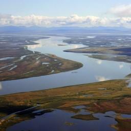 Река Анадырь располагает 9-ю участками  для торгов. Фото Biosphere-sib.ru