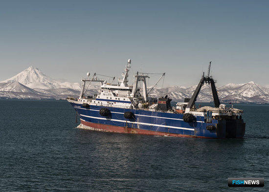 Заботу рыбопромышленников об Арктике отметили премией