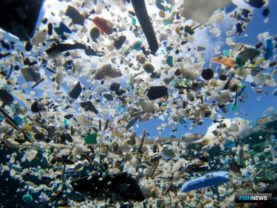 Пластиковый мусор в море. Фото с сайта Russia-now.com