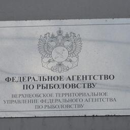 Торги организует Верхнеобское теруправление Росрыболовства. Архивное фото