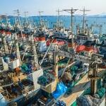 За 55 лет флагман рыбной промышленности Камчатки — АО «Океанрыбфлот» — прошел трудный путь