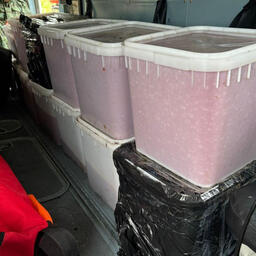 Рыбоохрана и пограничники изъяли 12 куботейнеров с икрой. Фото пресс-службы Северо-Восточного теруправления Росрыболовства