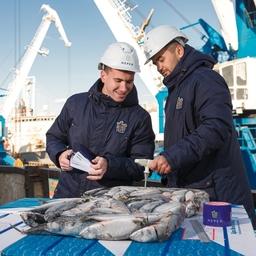 Сотрудники «Нерея» проводят контроль груза лосося в порту. Фото пресс-службы компании