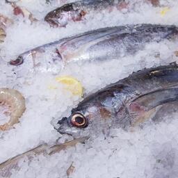 Представители компетентного ведомства Таиланда выразили заинтересованность в расширении списка аттестованных для экспорта в Россию предприятий по выпуску рыбной продукции