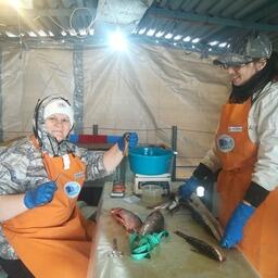 Сотрудники Хабаровского филиала ВНИРО провели традиционные мониторинговые исследования промысловых видов рыб в бассейне реки Амур. Фото пресс-службы института