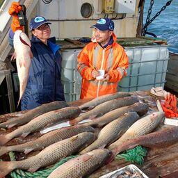 Ежегодно в осенне-зимний период АзНИИРХ проводит специализированную учетную траловую съемку по оценке запаса пиленгаса. Фото пресс-службы филиала