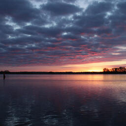 Добытчику артемии определили наказание. Архивное фото