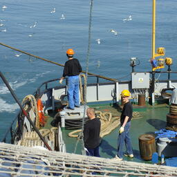 Санкции предполагают в том числе запрет на посещение портов ЕС, однако есть оговорки