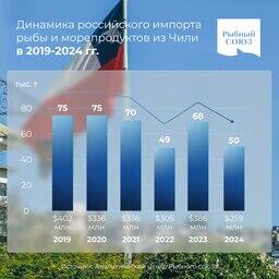 Динамика российского импорта рыбы и морепродуктов из Чили в 2019-2024 гг. График предоставлен Рыбным союзом